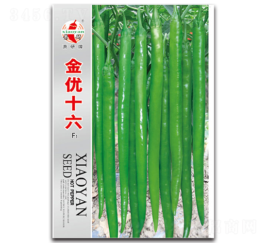 金優(yōu)十六-線椒種子-蕭研種業(yè)
