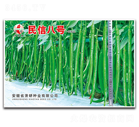 ���Ű�̖-�����N��-ʒ�зN�I(y��)