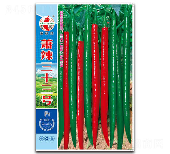 蕭辣三十三號(hào)-線椒種子-蕭研種業(yè)