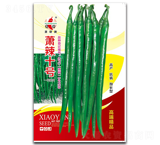 蕭辣十號-線椒種子-蕭研種業(yè)