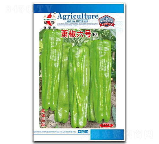 蕭椒六號-泡椒種子-蕭研種業(yè)