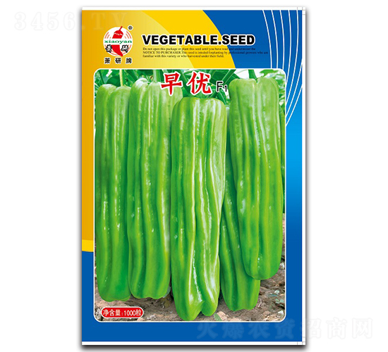 早優(yōu)-泡椒種子-蕭研種業(yè)