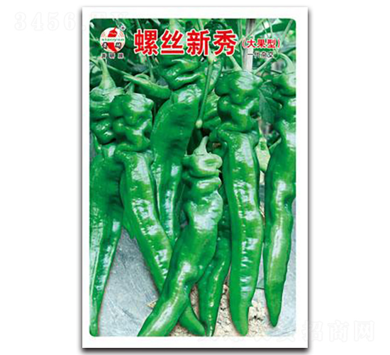 �ݽz����-�ݽz���N��-ʒ�зN�I(y��)