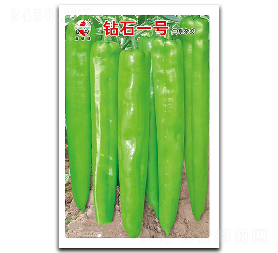 �@ʯһ̖-�����N��-ʒ�зN�I(y��)