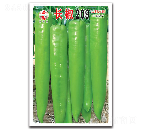 �L(zh��ng)��209-�����N��-ʒ�зN�I(y��)