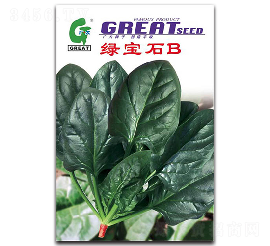 綠寶石-菠菜種子-廣大