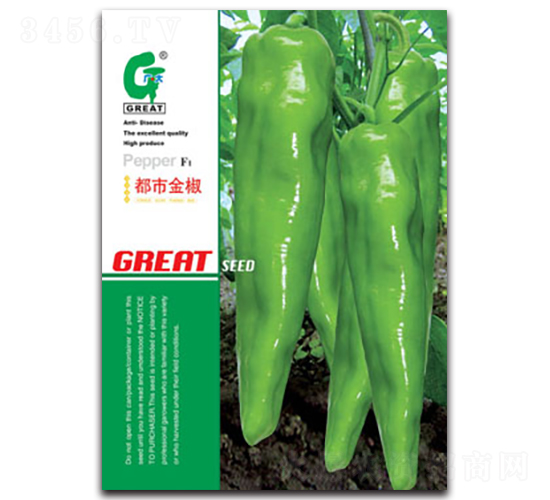 都市金椒-辣椒種子-廣大