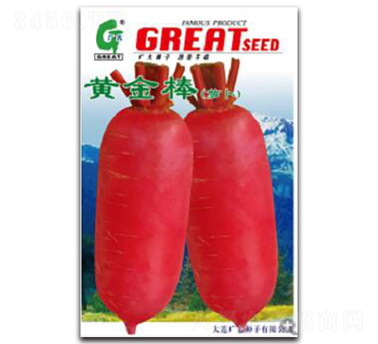 黃金棒-蘿卜種子-廣大