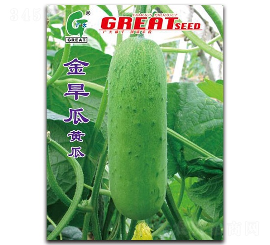 金旱瓜-黃瓜種子-廣大