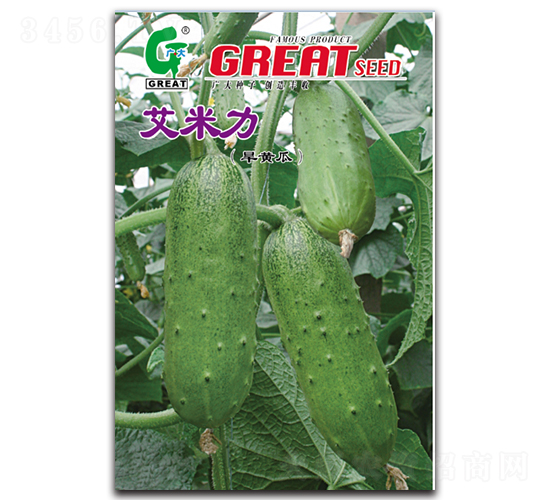 ������-�S�ϷN��-�V��