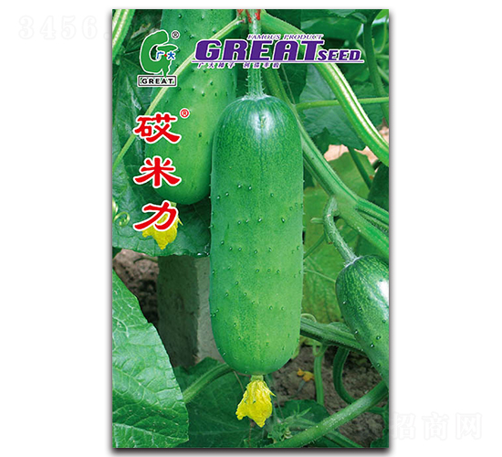 ������-�S�ϷN��-�V��