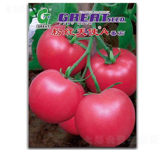 �ۼt��ʹA-���ѷN��-�V��