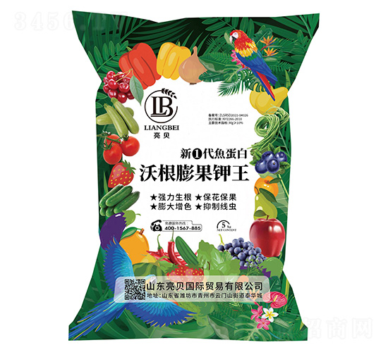 �¢ٴ��~�����ָ�������-��ؐ-�ﲩʿ