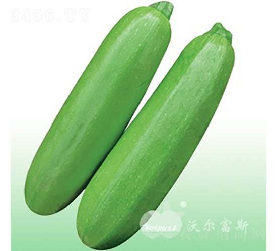 ����(j��)����208F1���߮a(ch��n)��G���������J��-�����J�N��-�֠���˹