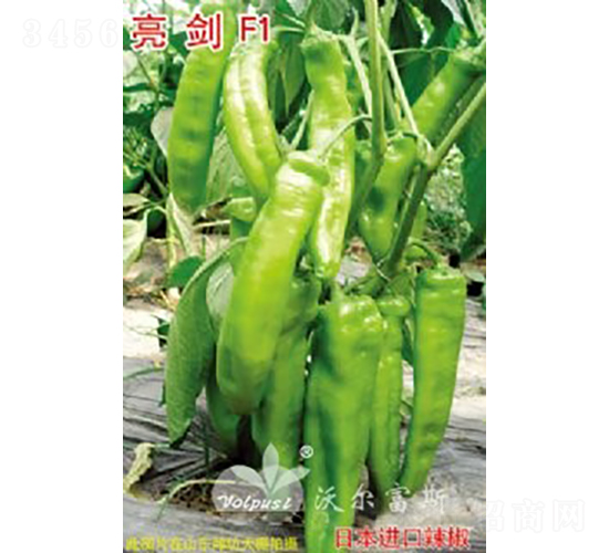 ����F1���߮a(ch��n)���L(zh��ng)�����������-�����N��-�֠���˹