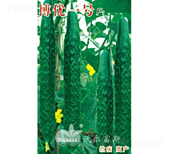 ����(y��u)һ̖F1���߮a�����������S�ϣ�-�S�ϷN��-�֠���˹