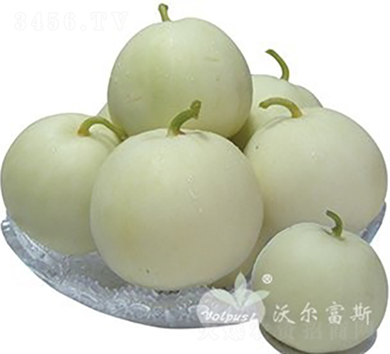 �ڝ�F1�����챡Ƥ��ϣ�-��ϷN��-�֠���˹