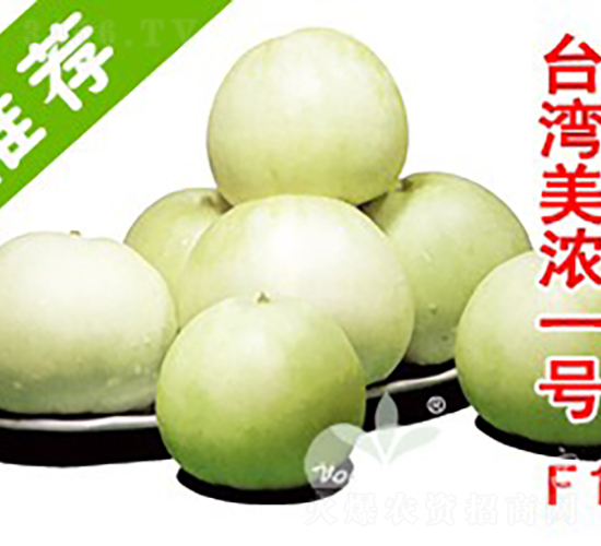臺(tái)灣美濃一號(hào)F1（早熟薄皮甜香瓜）-甜瓜種子-沃爾富斯