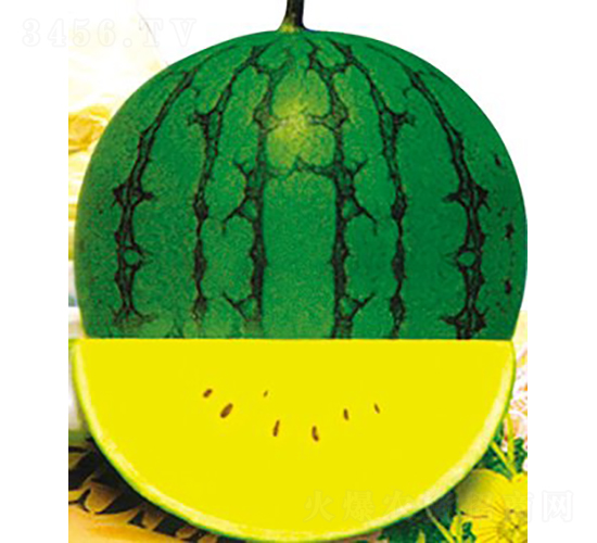 ���mF1���S��YƷС���ϣ�-���ϷN��-�֠���˹