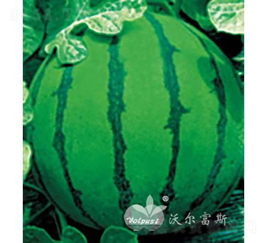 ���o(j��)���hF1������߮a(ch��n)���컨Ƥ���ϣ�-���ϷN��-�֠���˹