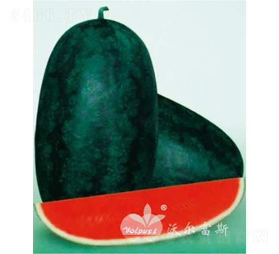 �_�����������F1���߮a���N��Ƥ�YƷ���ϣ�-���ϷN��-�֠���˹