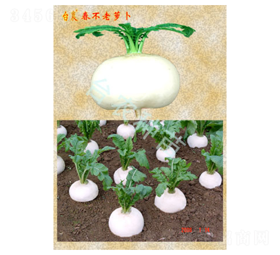 �������}��-�}���N��-�_�r(n��ng)�N��