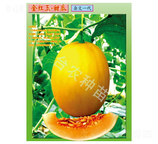 �_(t��i)�r(n��ng)��t�����-��ϷN��-�_(t��i)�r(n��ng)�N��