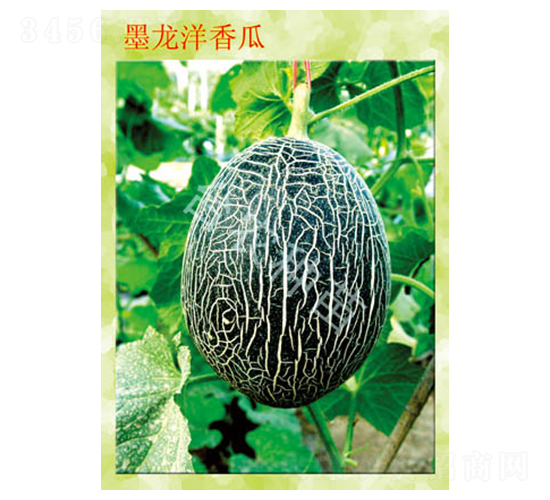 ī�������-��ϷN��-�_(t��i)�r(n��ng)�N��