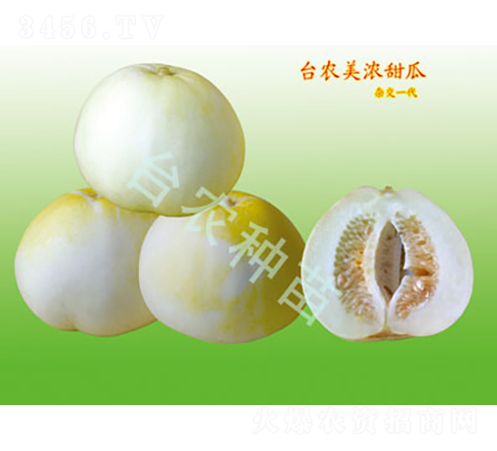 �������-��ϷN��-�_�r(n��ng)�N��