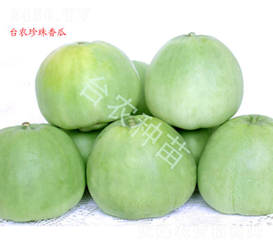 �������-��ϷN��-�_�r(n��ng)�N��