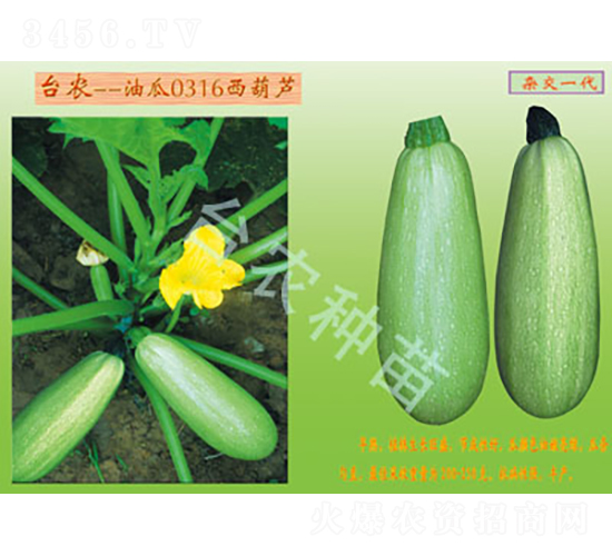 0316�����J-�����J�N��-�_�r�N��