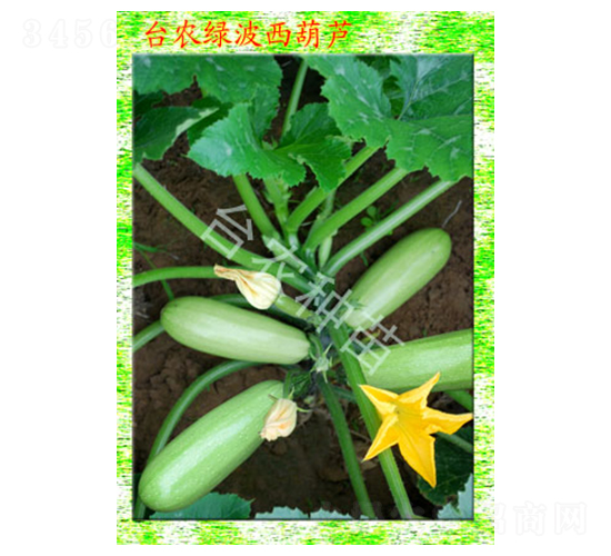 �_(t��i)�r(n��ng)�G�������J-�����J�N��-�_(t��i)�r(n��ng)�N��