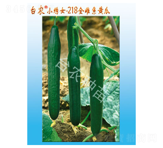 С�CŮ218ȫ��ϵ�S��-�S�ϷN��-�_�r(n��ng)�N��