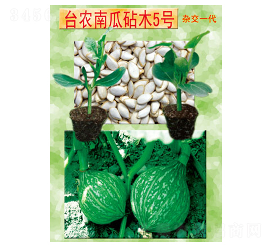臺(tái)農(nóng)砧木5號(hào)-南瓜種子-臺(tái)農(nóng)種苗
