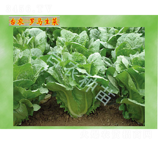 �_�R����-���˷N��-�_�r(n��ng)�N��