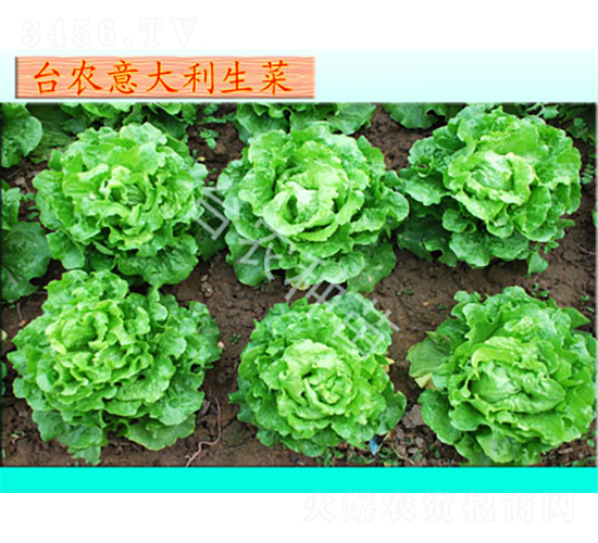 �_(t��i)�r(n��ng)���������-���˷N��-�_(t��i)�r(n��ng)�N��