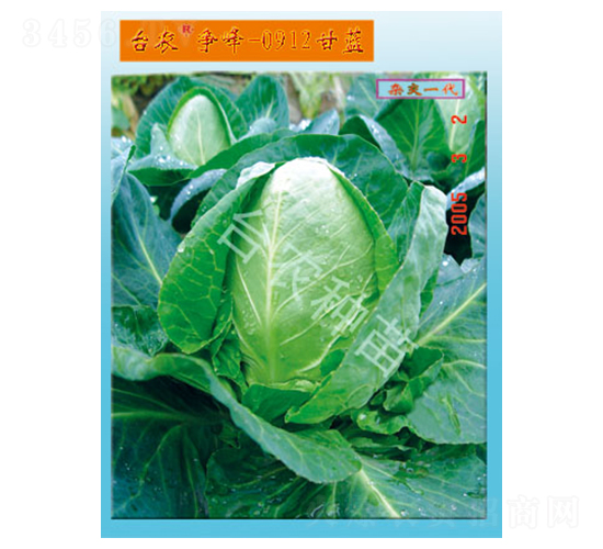 �_�r(n��ng)����0912���{-���{�N��-�_�r(n��ng)�N��