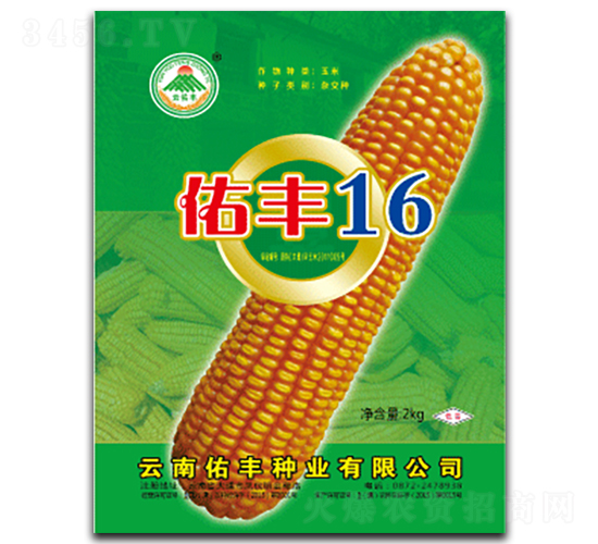 佑豐16-玉米種子-云南佑豐種業(yè)
