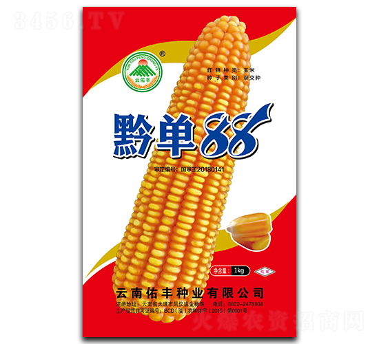 ǭ��88-���׷N��-�������S�N�I(y��)