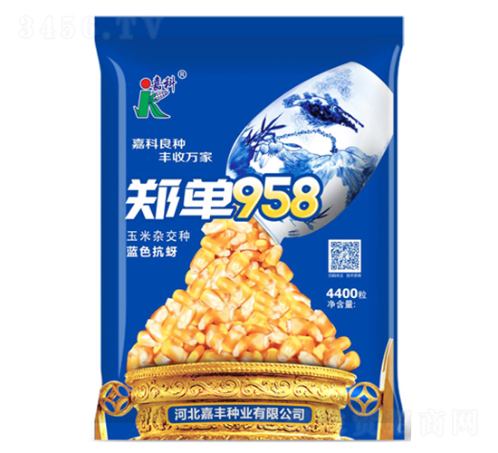 鄭單958-玉米種子-嘉科
