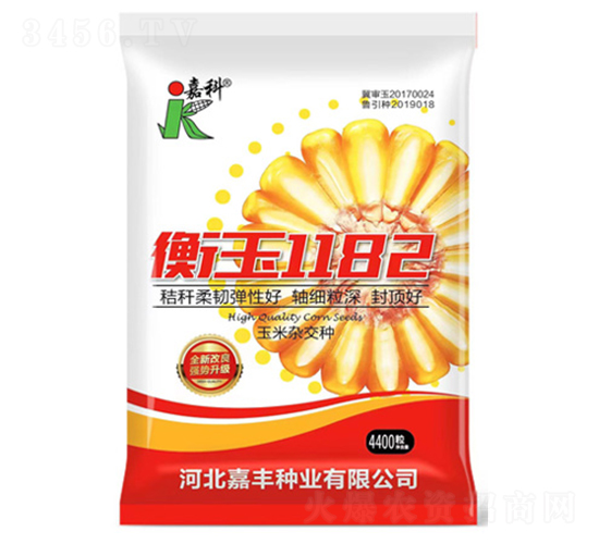 衡玉1182-玉米種子-嘉科
