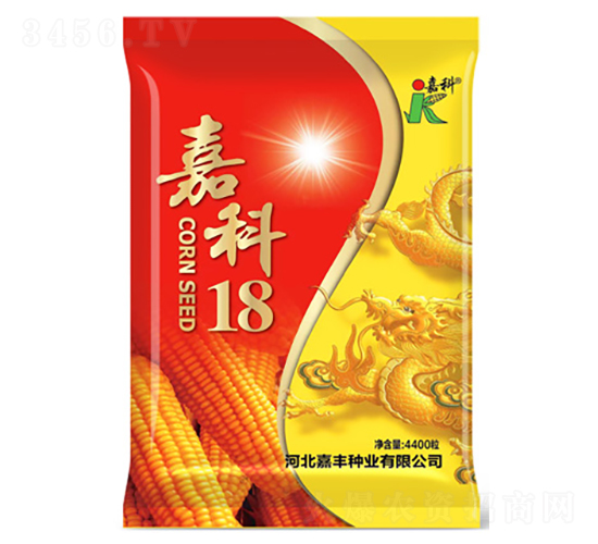嘉科18-玉米種子-嘉科