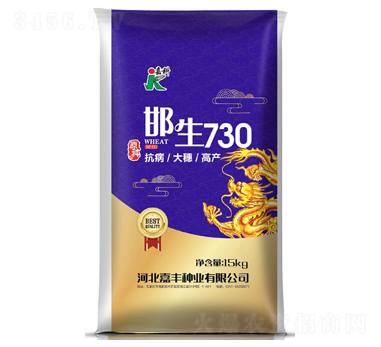邯生730-小麥種子-嘉科