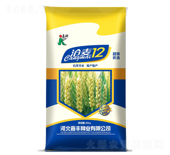 ����12-С���N��-�ο�