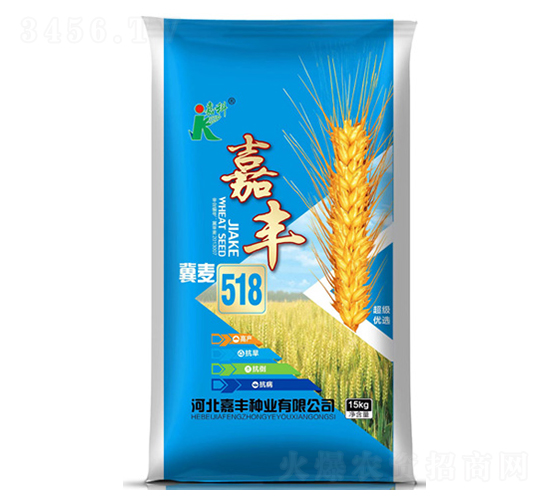 冀麥518-小麥種子-嘉科