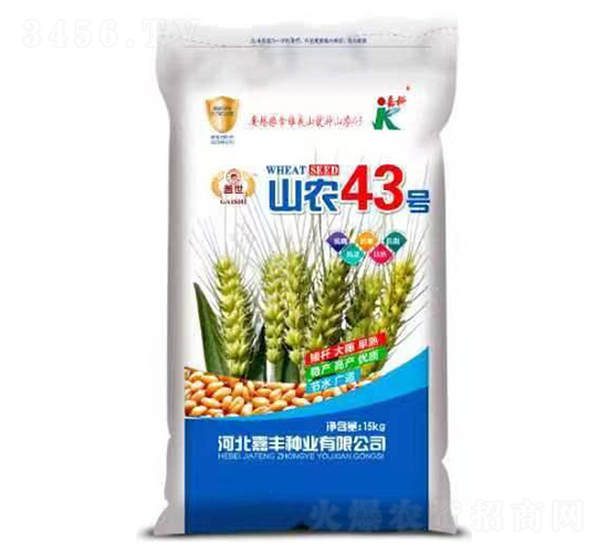 ɽ�r43̖-С���N��-�ο�