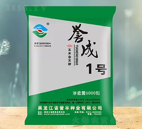 譽成1號-玉米種子-譽豐