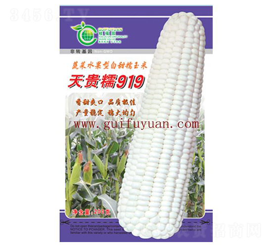 天貴糯919-玉米種子-桂福園農(nóng)業(yè)