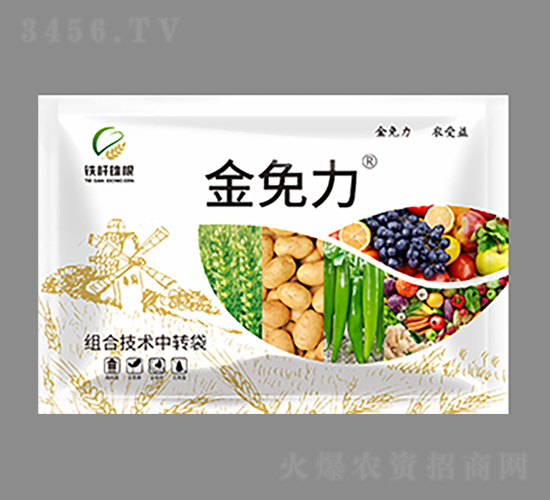 �ײͷ�-������-�F�U�۸�