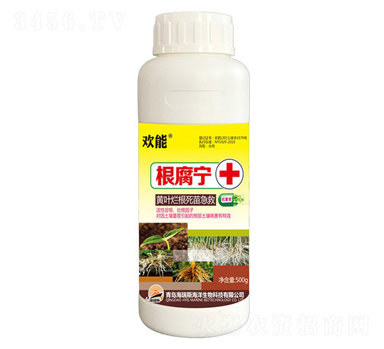 500g�g�ܡ�������+�S�~�������缱��-����˹